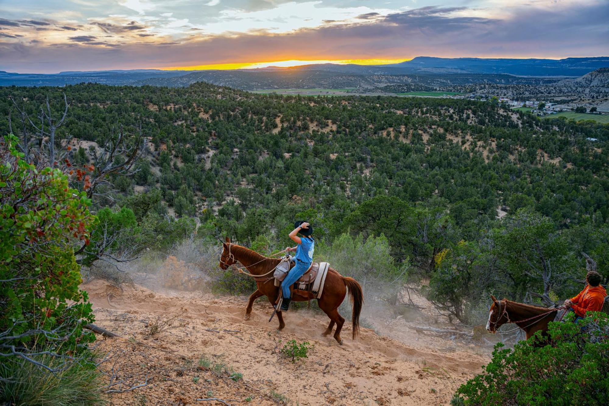 Zion Ponderosa Ranch Resort สปริงเดล ภายนอก รูปภาพ