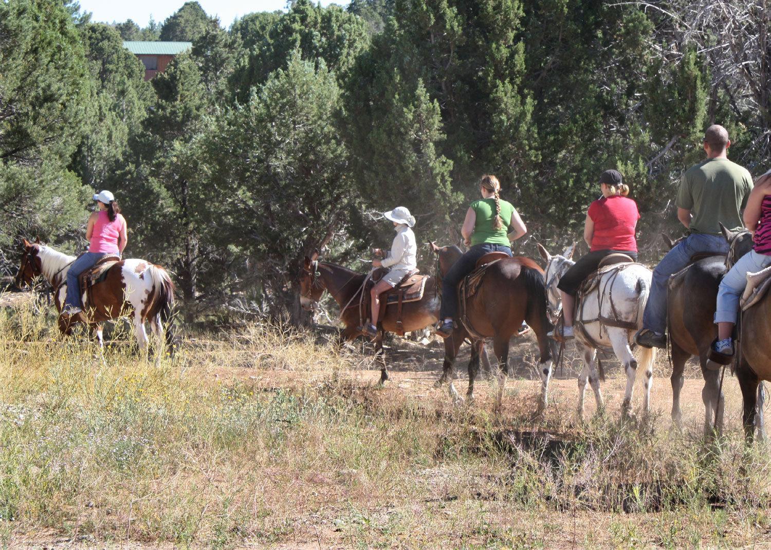 Zion Ponderosa Ranch Resort สปริงเดล ภายนอก รูปภาพ